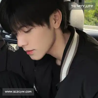 晏清飚